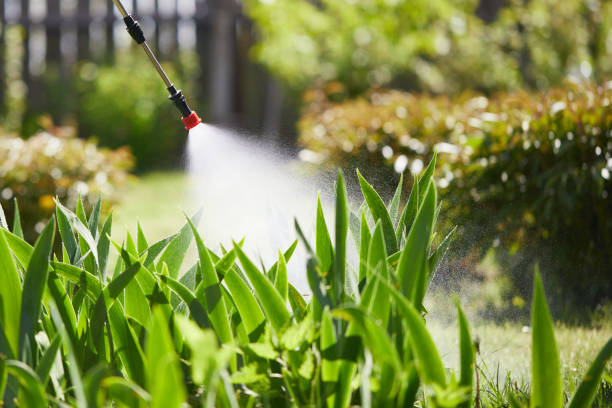 24/7 Emergency Mosquito Control experts in Plant City, FL