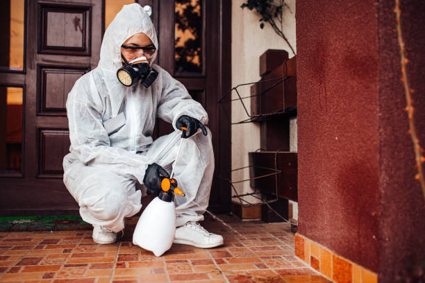 Reliable Mosquito Control contractor in Plant City, FL by Show Me Pest Control